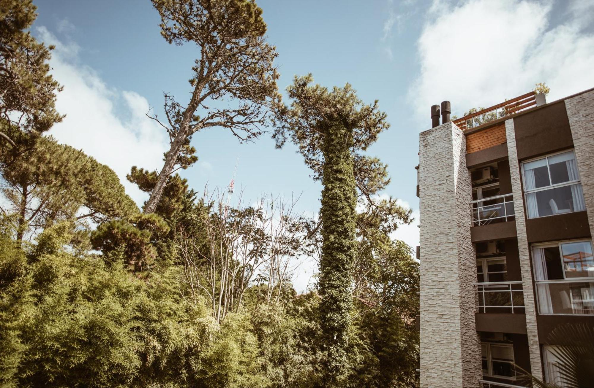 Suite House Carilo Bagian luar foto
